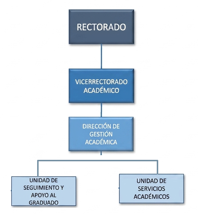 Organigrama Gestión Académica UNAMBA